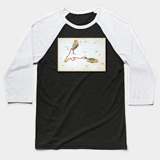 star signs fish Baseball T-Shirt